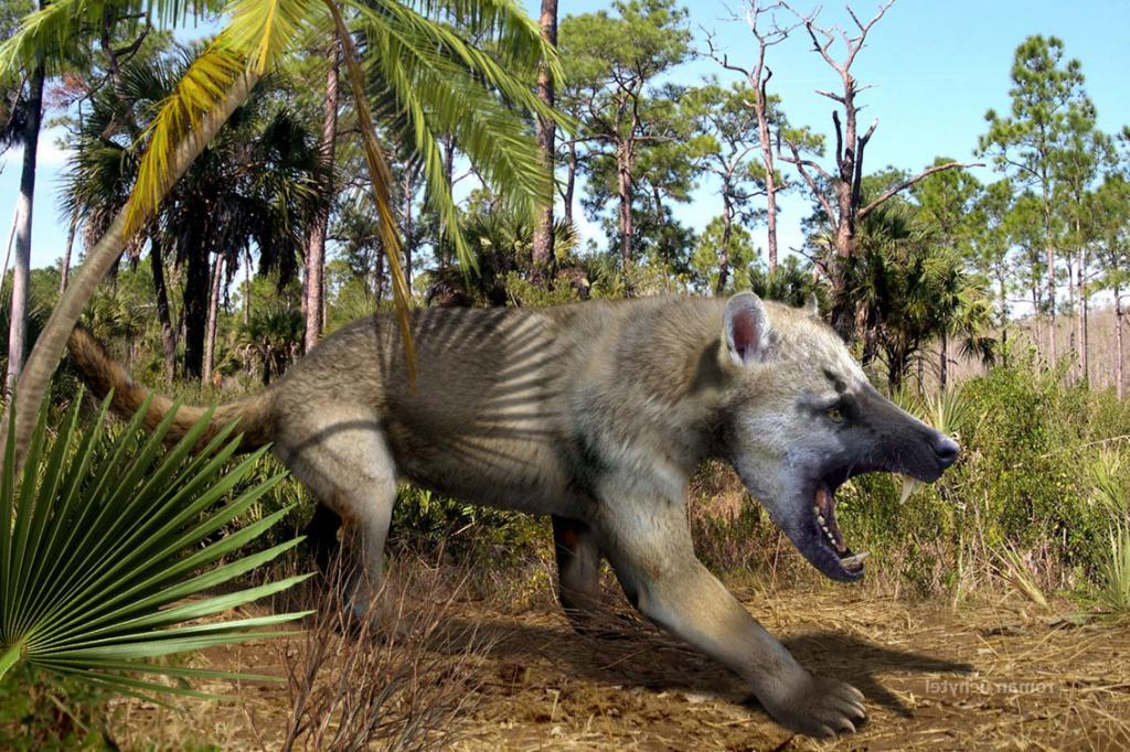 Он съел последнего шерстистого носорога: ученые обнаружили в сибирской вечной мерзлоте щенка, жившего около 14 тысяч лет назад