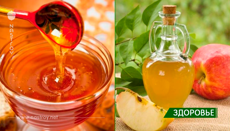 Настойка мед чеснок яблочный уксус польза