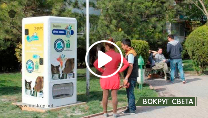 Вендинговые автоматы на улицах Стамбула кормят бездомных животных