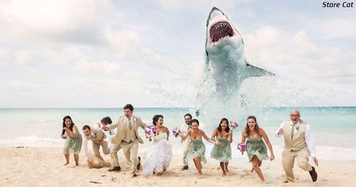 Безумные свадебные фото   новый тренд. Вот 8 примеров