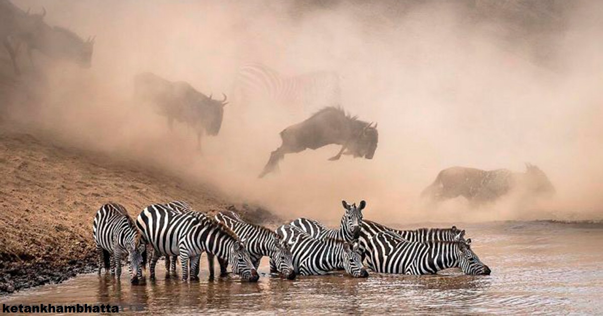 30 самых потрясающих фото, которые были опубликованы в National Geographic