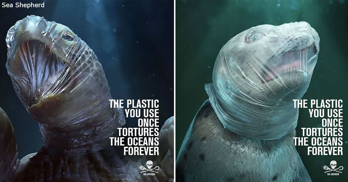 Несколько фото о том, что делает пластик с нашими морями и океанами