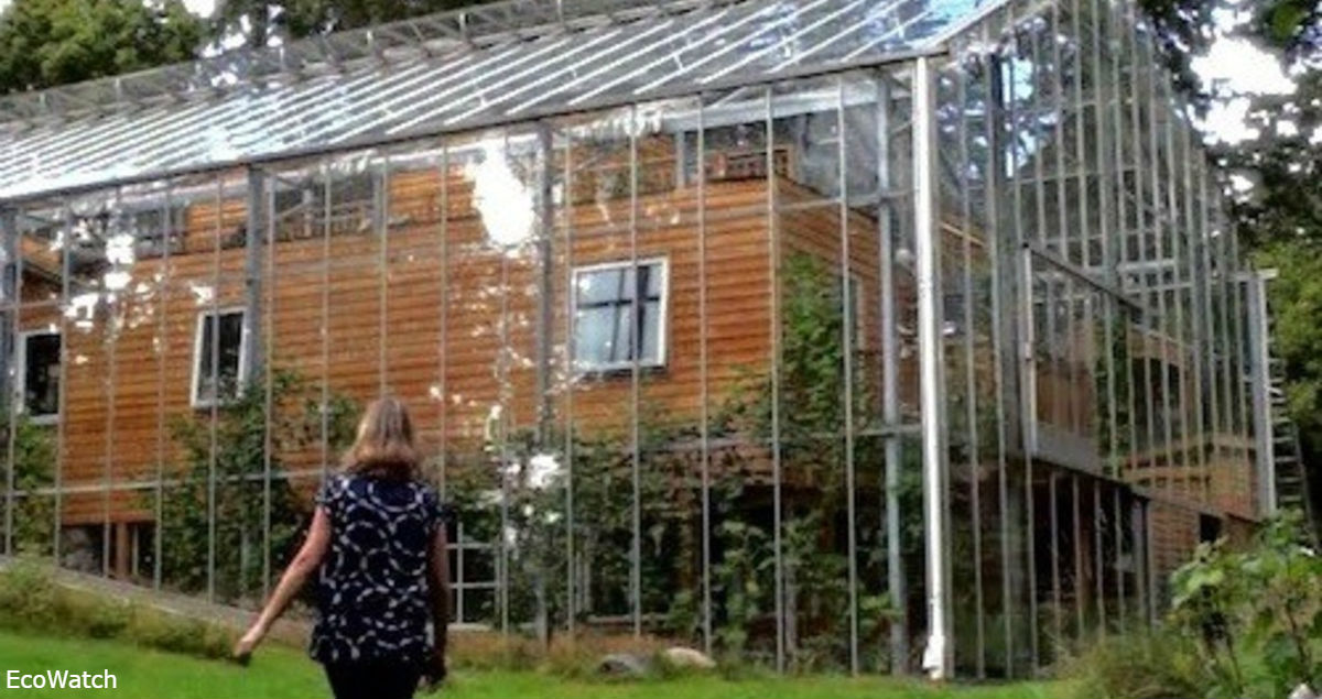Пара из Швеции построила вокруг дома теплицу: экономит и на еде, и на тепле