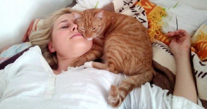 Почему кот спит на человеке: что означают его позы и выбранное место.