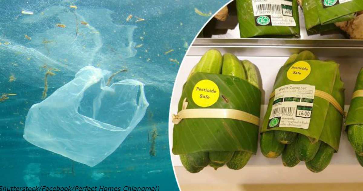 Тайский супермаркет заворачивает покупки в банановые листы   вместо пластика