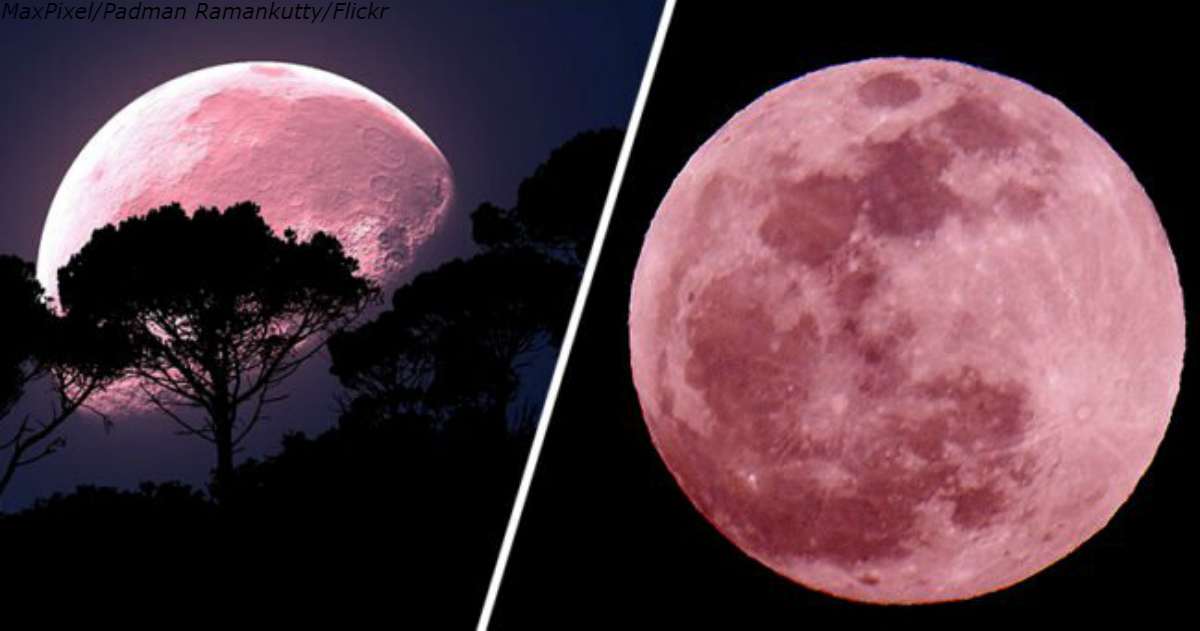 «Розовая луна» поднимется над Землей в Страстную пятницу. Вот что вам надо знать