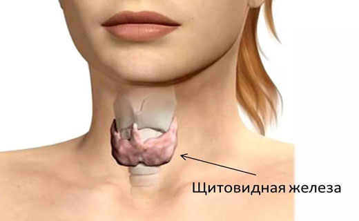 Рецепти за щитовидна жлеза: това съветва лечителката на сестра си