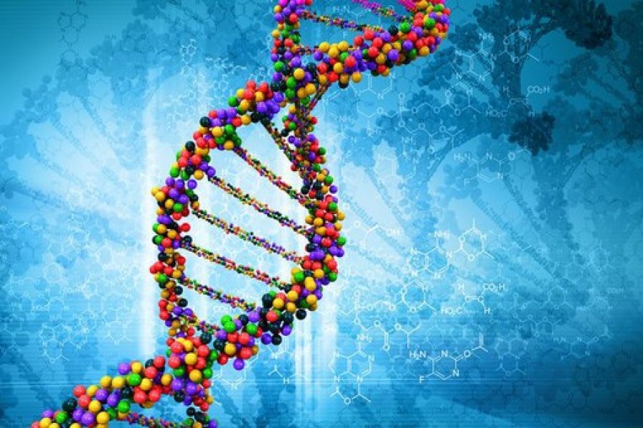 Удивительные открытия, которые можно сделать с помощью теста ДНК