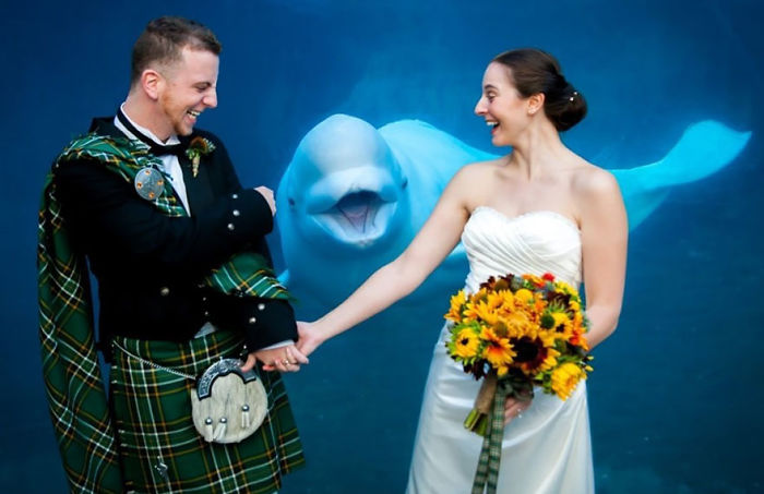 Пара решила пожениться в зоопарке, и медведь явно не доволен их свадьбой