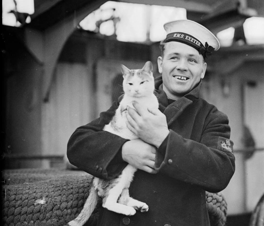 Любовь к кошкам вне времени и событий. Редкие фотографии солдат с любимыми питомцами во время Первой и Второй мировых войн