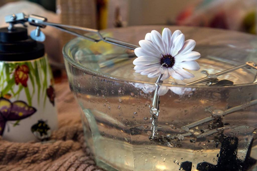 Волшебные капли воды: оптический трюк позволяет делать прекрасные снимки