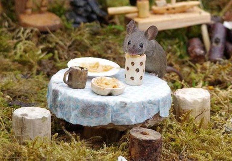 Человек с большим сердцем: хозяин дома построил крошечные бревенчатые хижины в своем дворе для семьи мышей