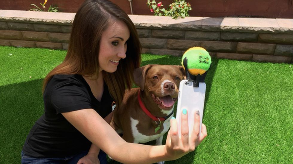 Теперь не отвертится: создан уникальный аксессуар для телефона, который позволяет сделать селфи с собакой