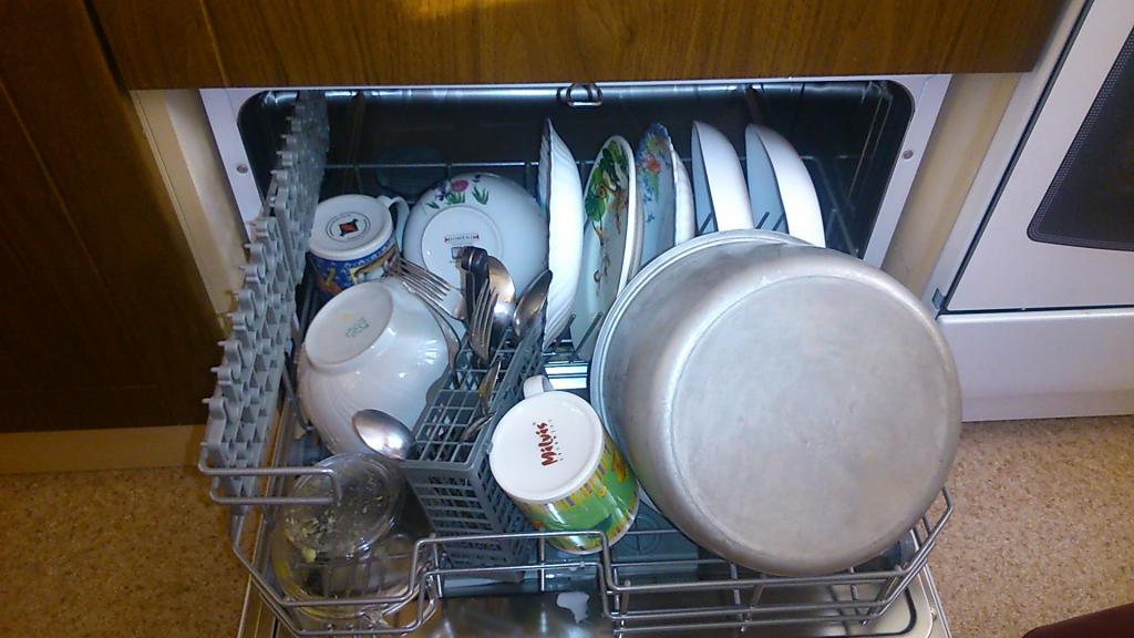 Так ли безвредна посудомоечная машина? Как защитить ее от размножения грибков и бактерий