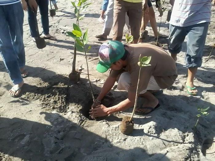 Студенты на Филлипинах сажают деревья, чтобы получить высшее образование