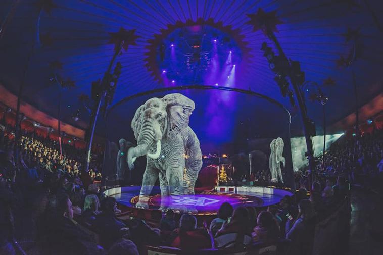 Голограммы вместо животных: немецкий цирк пытается остановить жестокое обращение с животными