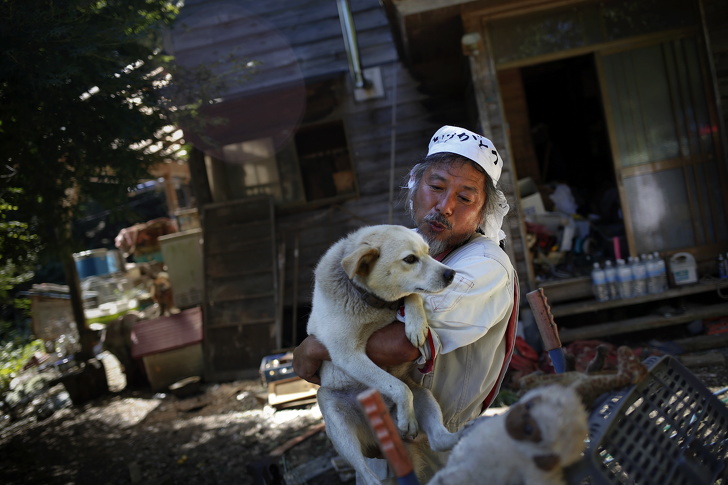 Смелые японцы рискуют жизнью, чтобы спасти животных. Что сегодня происходит в Фукусиме