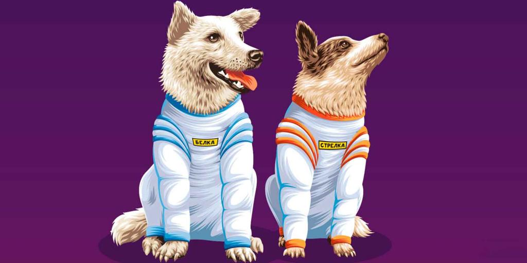 Как советские собачки-космонавты стали лицом сувенирной продукции