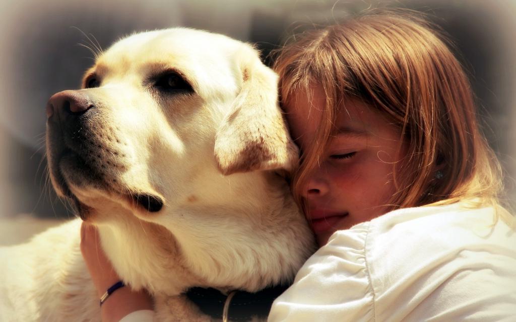 Домашние животные спасают от депрессии и укрепляют здоровье хозяев: 5 доказательств того, что питомцы улучшают нашу жизнь