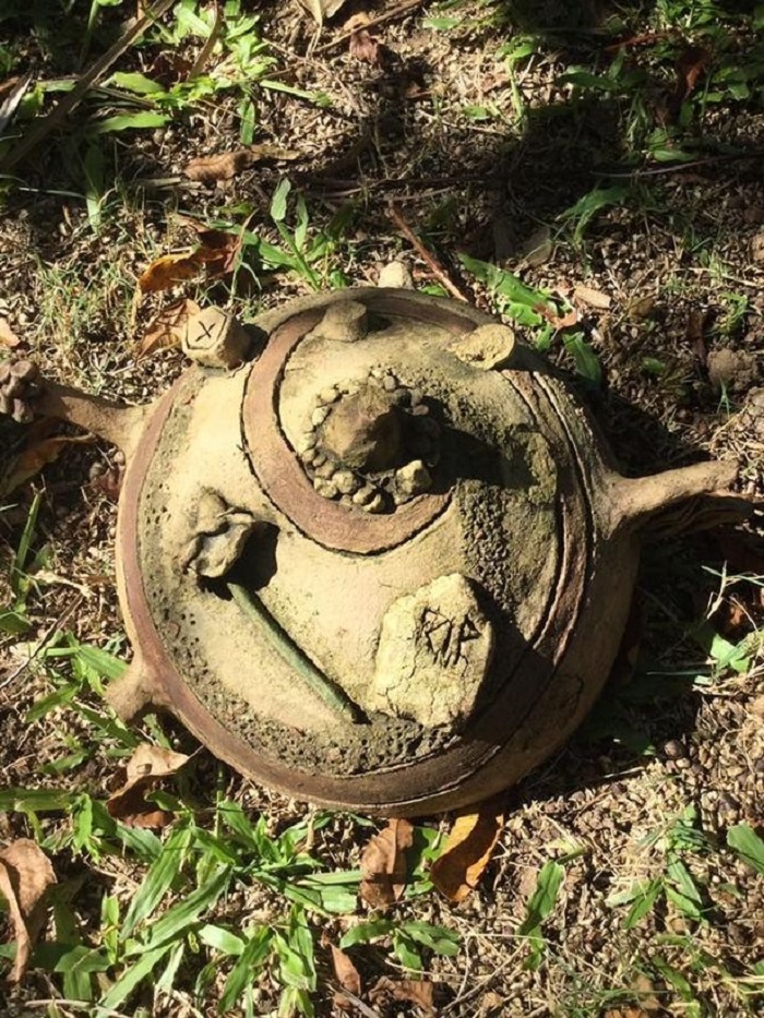 Женщина нашла странный шар в саду: все советовали немедленно избавиться от него