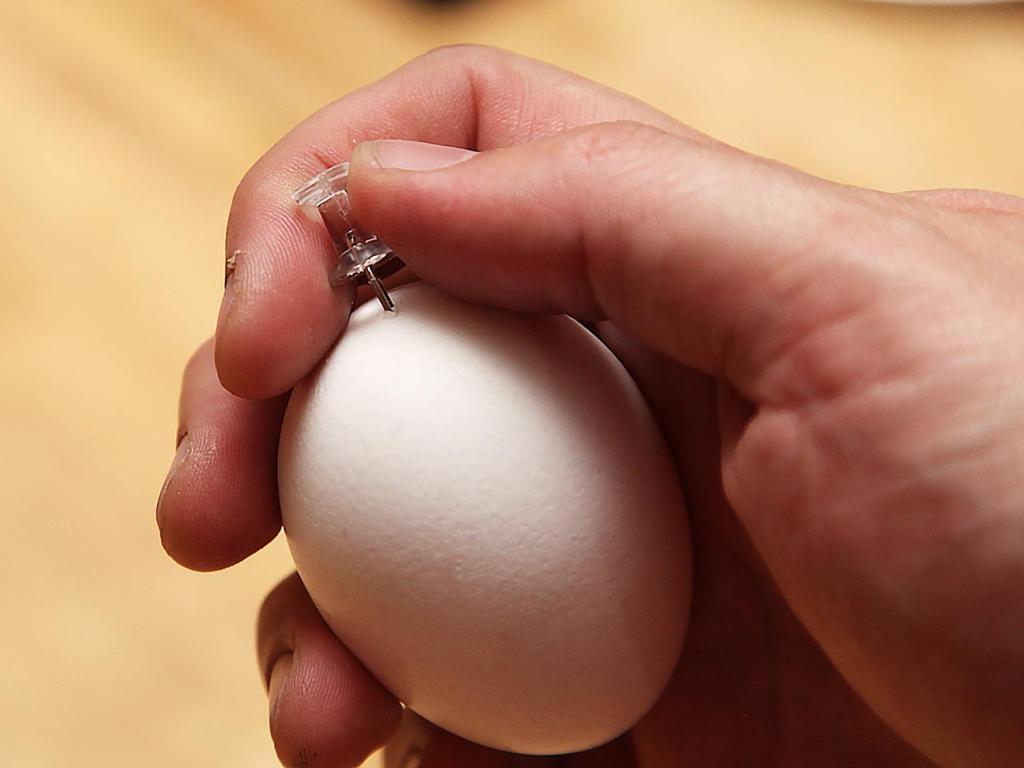 Чтобы яйцо быстро очистилось, подруга порекомендовала проколоть его перед варкой иголкой. Теперь так делаю всегда