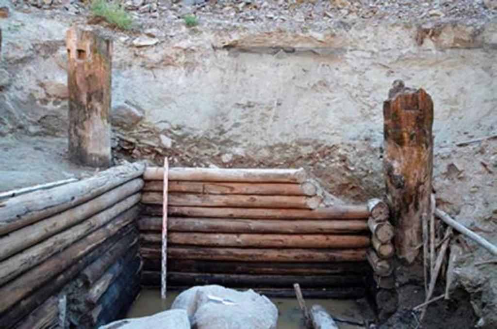 Ковры со сфинксами и колесница. Археологи выкопали на Алтае идеально построенный бревенчатый дом возрастом 2300 лет
