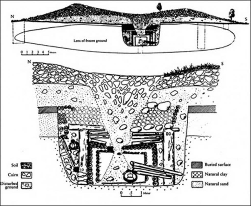 Ковры со сфинксами и колесница. Археологи выкопали на Алтае идеально построенный бревенчатый дом возрастом 2300 лет