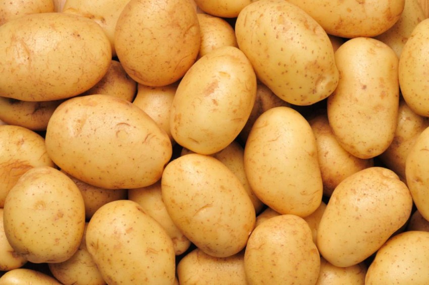 Необычные, но эффективные методы: как вырастить картофель в Финляндии