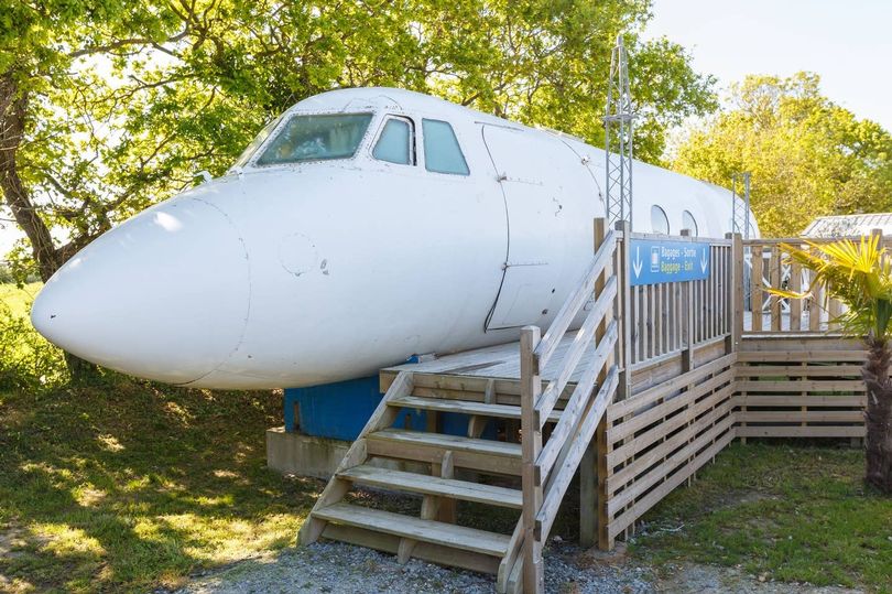 Владелец кемпинга превратил самолет в номер для отдыха, который можно арендовать за 100 долларов в сутки. В нем есть все необходимое для комфортной жизни