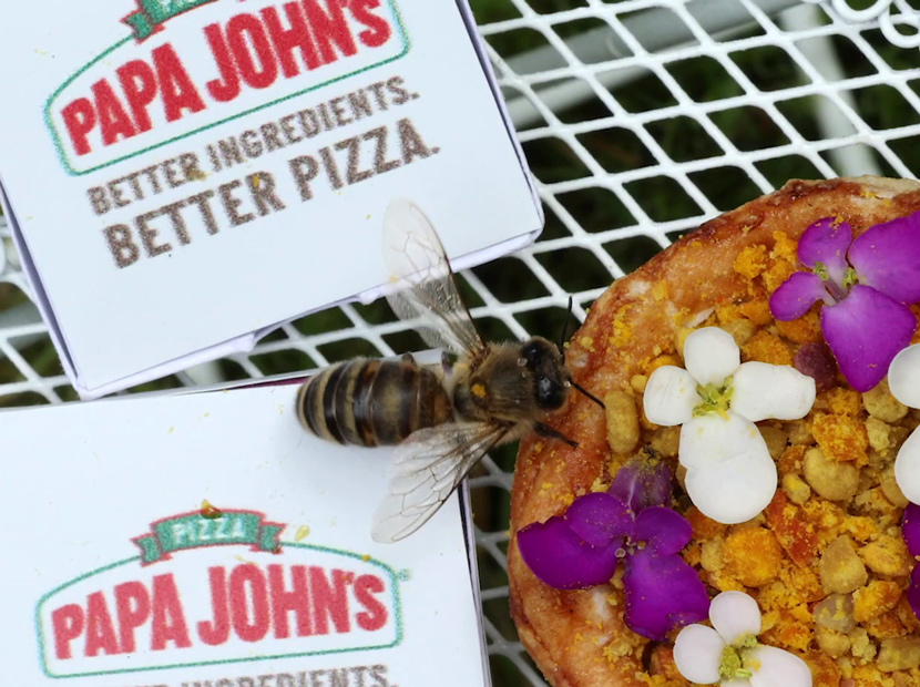 Доставку заказывали? Популярная компания делает миниатюрную пиццу для шмелей и пчел
