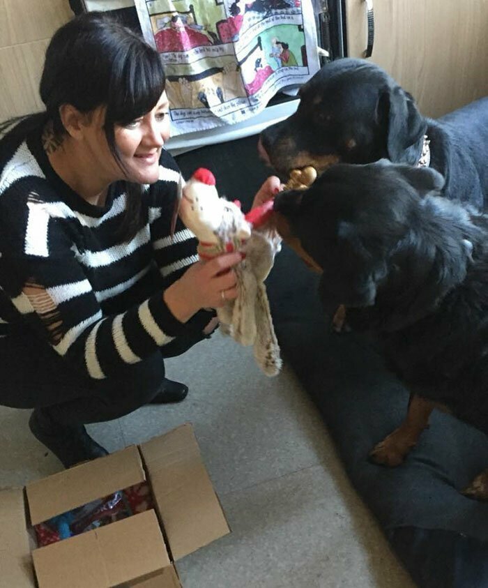Хоспис для брошенных собак: медсестра даже на пенсии нашла способ помогать нуждающимся