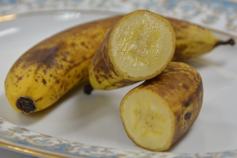 В Латинской Америке обнаружили вирус, который может погубить банановые культуры