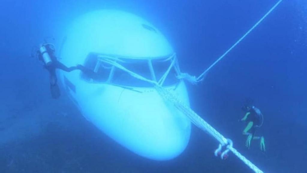 Подарок дайверам: в Иордании затопили коммерческий самолет TriStar, и любители подводного плавания смогут его посетить