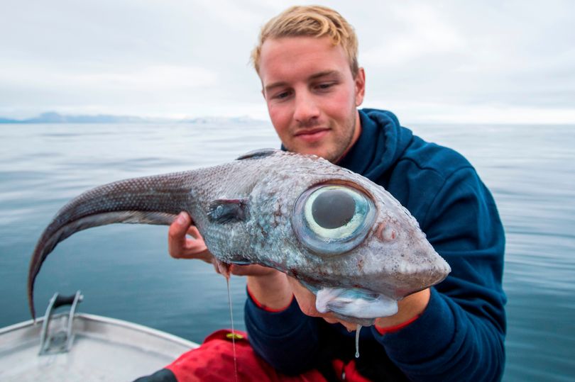 Когда рыбак в Норвегии поймал вот такую рыбу, никто ему не мог поверить