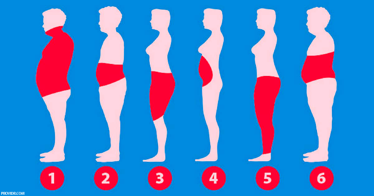 6 типов жира в организме   и как избавиться от каждого из них