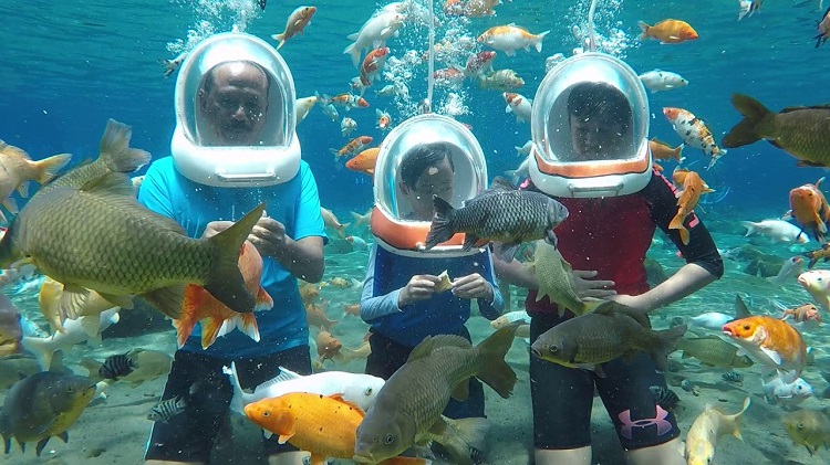 Туристы стекаются в индонезийский городок, чтобы сделать фотографии под водой, от которых дух захватывает