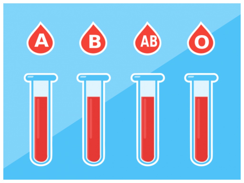 A, O или B? Люди с какой группой крови живут дольше всего и что нужно делать, чтобы продлить жизнь