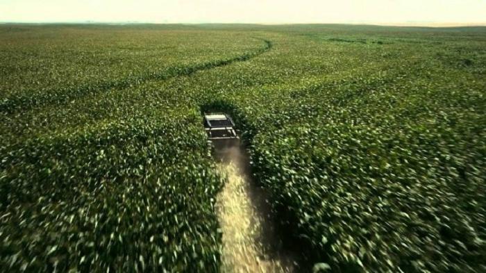 Фильмы без спецэффектов: 500 га кукурузы были высажены для  Интерстеллара 