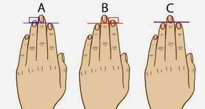 Соотношение длины пальцев может многое рассказать о характере мужчины