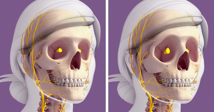 Кожа теряет эластичность, а кости становятся хрупкими: как наше тело меняется после 30 лет и почему лицо стареет быстрее