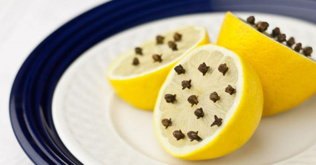 Лимон с гвоздикой: простой способ избавиться от комаров, муравьев, тараканов, клопов и ос