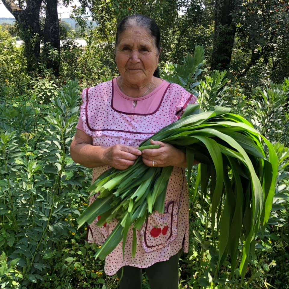 Бабушка блогер! Мексиканская старушка делится вкусными рецептами на YouTube