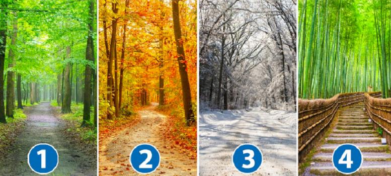 Зима, весна, лето или осень? То, какую дорогу вы выберете, раскроет некоторые черты вашего характера