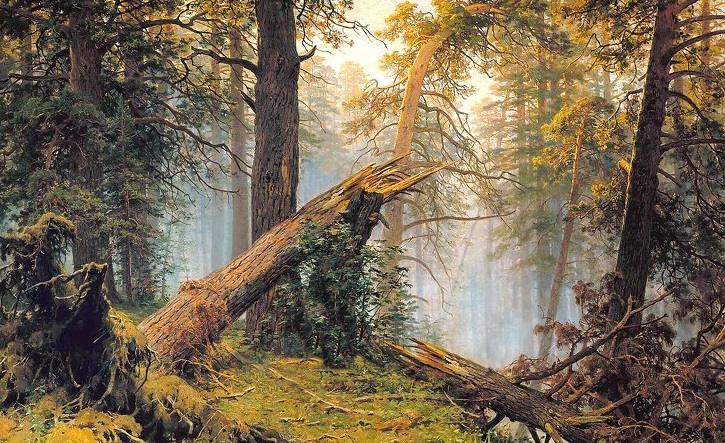 Медведи на картине  Утро в сосновом лесу  не были нарисованы Шишкиным. Неожиданные загадки произведений мирового искусства