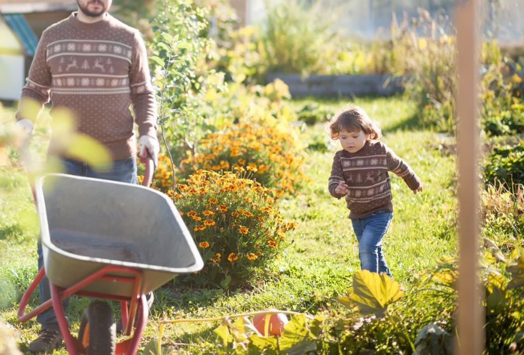 Подготовка грядок к новому сезону: нужно ли перекапывать огород осенью
