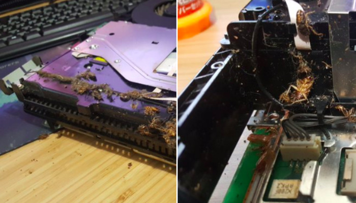 Почему необходимо почаще чистить электронную технику: парень обнаружил в своей приставке тараканов
