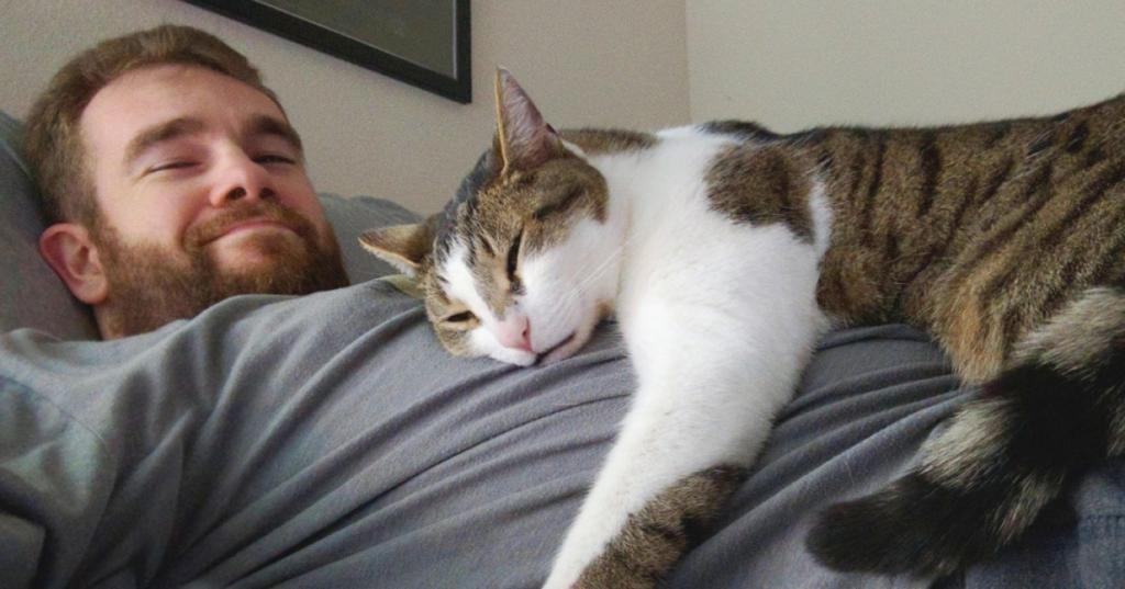 Мой кот часто спит со мной. Подруга ветеринар рассказала, что это может означать