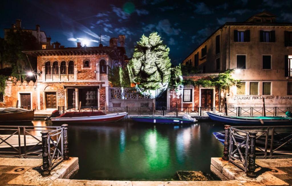 Художник посетил Венецию, чтобы сделать проекции на деревья   примеры того, как оживает искусство