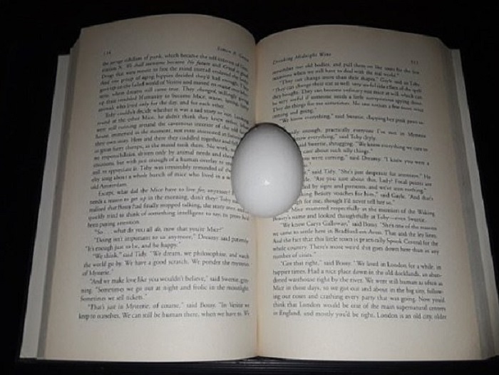 От яйца до пианино: странные закладки для книг, которые вызовут много вопросов у книголюбов