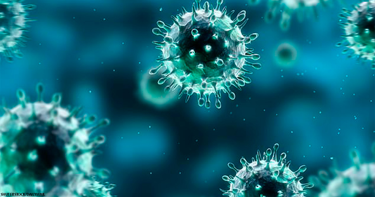 Вспышка гриппа может разойтись по миру за 36 часов и убить 80 млн человек   ВОЗ